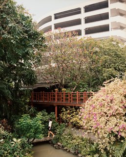 The Bangkok Beat - Photo 3 of 12 -