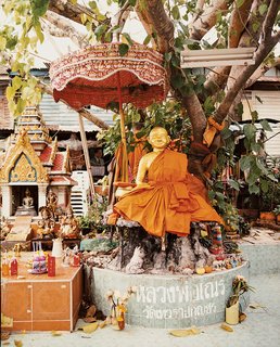 The Bangkok Beat - Photo 6 of 12 -