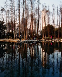 Suddenly Shanghai - Photo 3 of 11 -