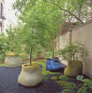 Terra Ephemera - Photo 3 of 6 - A cluster of maple trees sprout from a trio of Autumn Lake eccentric silicone planters and a Ginko medium classic planter in the courtyard of Hayes' gallery, Salon 94.