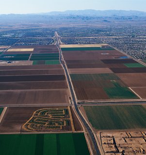 Razing Arizona - Photo 1 of 6 -