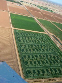 Razing Arizona - Photo 3 of 6 -