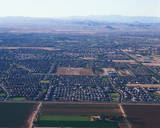 Razing Arizona - Photo 6 of 6 -