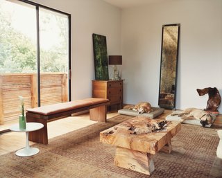 Houston, We've Solved a Problem - Photo 7 of 8 - In the living area, the family’s dogs Kirby and Forest commandeer beds that Matt custom designed for them, enjoying the view of the trees floating outside the floor-to-ceiling windows reflected in the recycled steel-frame mirror. 