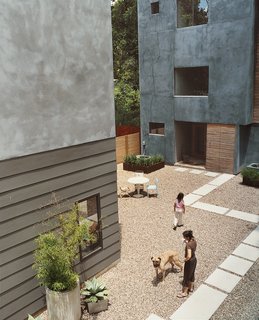 Houston, We've Solved a Problem - Photo 8 of 8 - Unlike most Houston yards, there’s no grass to cut around these houses. Instead, the garden is gravel interspersed with low-maintenance plants like black bamboo, agave cacti, and foxtail ferns. Set inside concrete and steel planters that the Fords made themselves, the landscaping also hides protruding air conditioners. 