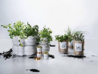 Indoor Garden Kits - Photo 1 of 1 -