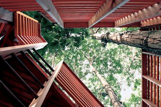 Suspended Habitation - Photo 2 of 2 -