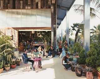 Fawning Over Flora - Photo 1 of 6 -