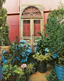 Fawning Over Flora - Photo 6 of 6 -