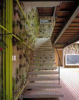 Living Walls - Photo 1 of 1 -