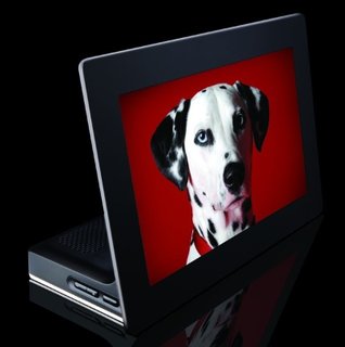 Kodak Opts for OLED in New Digital Picture Frames - Photo 1 of 1 -