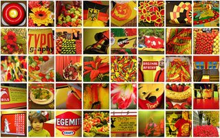 Fun with Color - Photo 1 of 1 -