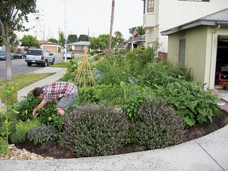 The Lawn Goodbye - Photo 5 of 5 -