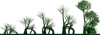 The stages of the Fab Tree Hab are shown.