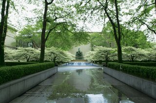 The Ungreening of America - Photo 4 of 6 -