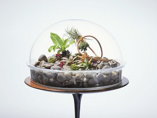 Beyond Terradome - Photo 1 of 2 -