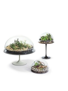 Beyond Terradome - Photo 2 of 2 -
