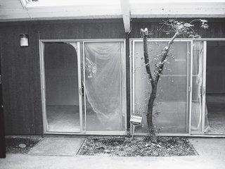 A Mid-Century Modern Home in Southwest Portland - Photo 13 of 15 -