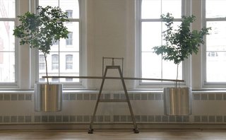 Natalie Jeremijenko's MoMA Lecture - Photo 2 of 3 -