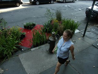 Natalie Jeremijenko's MoMA Lecture - Photo 3 of 3 -