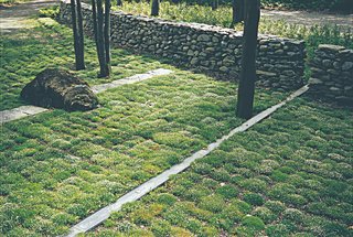 For H. Keith Wagner's Hilltop residence, moss is the green ground cover alternative to water-guzzling grass.