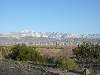 Wind turbines cover the landscape just north of Palm Springs.