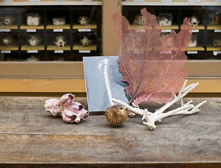 ID Visit's RISD's Natural Habitat - Photo 1 of 4 -