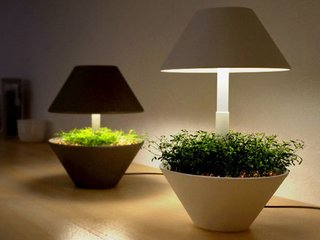 Lightpot by Studio Shulab - Photo 2 of 4 -
