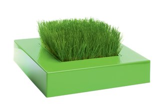 Chlorophylle by Christophe Vialle for Racine Carré. Available at A+R.