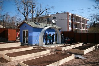 Urban Hens - Photo 4 of 5 -