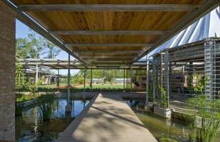 Top Ten Green Projects - Photo 14 of 20 - Shangri La Botanical Gardens and Nature Center (walkway) in Orange, Texas, by Lake|Flato Architects. Photo by Hester + Hardaway.