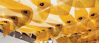 A detail of the installation Maximilian's Schell, which is a vortex-shaped canopy crafted from high-tech sail material.