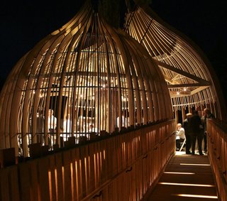 Yellow Treehouse Restaurant - Photo 3 of 5 -
