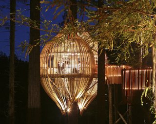 Yellow Treehouse Restaurant - Photo 4 of 5 -