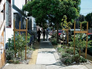 Where the Sidewalk Ends - Photo 4 of 4 -