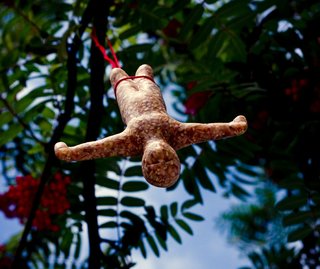 Bungee Bird Feeder - Photo 2 of 2 -