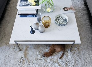 The Skinny coffee table (perfect for unauthorized doggy dining) by Prospero Rasulo for Zanotta is also a display board for Jeanette’s growing collection of Stig Lindberg and Bjorn Wiinblad ceramics.