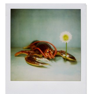 Gems from the Renegade Craft Fair - Photo 3 of 10 -
