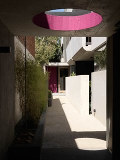 Ten Darling Apartment Buildings - Photo 4 of 15 -