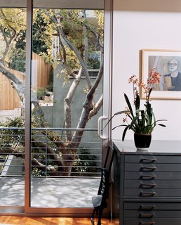There are balconies off nearly every room. The interior is built around a mature Chinese elm that once dominated the backyard of the front house.