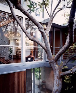 Kalia, just outside the playroom, overlooking the courtyard and the Chinese elm around which the entire interior was built.