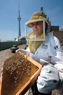 Fairmont Royal York Hotel executive chef David Garcelon takes instruction from beekeepers on the handling of the three new hives on the hotel's roof, just beside the roof-top herb garden. Photograph by Norm Betts.