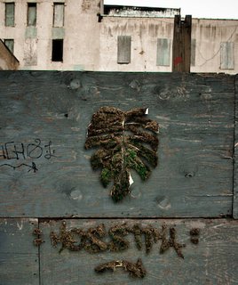 Unauthorized Moss Art - Photo 1 of 5 -