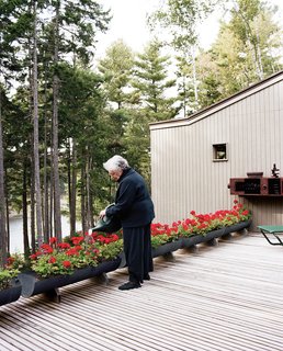 Sally waters the row of geraniums, keeping the bright red security barrier marking the edge of the deck in full bloom.