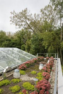 The roof of the Center for Environmental Innovation and Education is planted with species indigenous to the area to reduce run-off water and reduce heat absorption.<br><br>Photo by <br><br>Bilyana Dimitrova, Courtesy of the Beacon Institute for Rivers and Estuaries