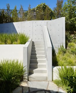 The entry and stairs to the tree house complex was sculpted from exposed, unpainted concrete, designed to suggest the ladder of a traditional tree house.
