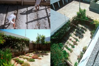 Young Guns: Best New Practices 2009 - Photo 8 of 22 - The Crack Garden in San Francsico, California, designed by CMG Landscape Architecture, winner of the New Practices San Francisco 2009 competition.