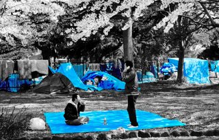 Tokyo Blues - Photo 2 of 3 -