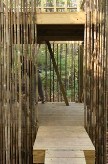 Baltimore Tree House - Photo 9 of 10 -