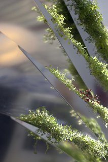 Grass Mirror - Photo 1 of 5 -